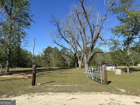 4645 Pleasant Plains Rd, Harrison, GA 31035