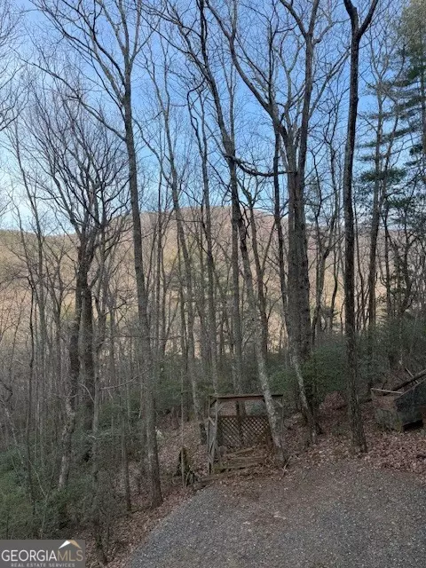 136 Little Rock Creek Trl, Cherry Log, GA 30522