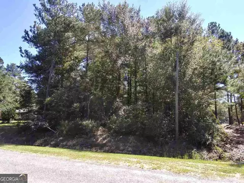 0 Glover Rd, Harrison, GA 31035 photo 3
