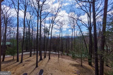 494 Lower Prince Mountain Rd, Cherry Log, GA 30522 photo 16