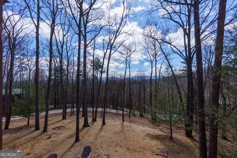 494 Lower Prince Mountain Rd, Cherry Log, GA 30522 photo 10