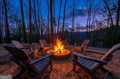 494 Lower Prince Mountain Rd, Cherry Log, GA 30522