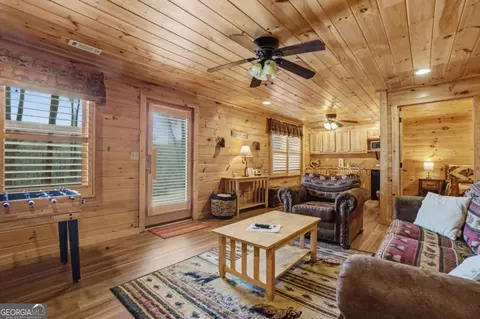494 Lower Prince Mountain Rd, Cherry Log, GA 30522 photo 27