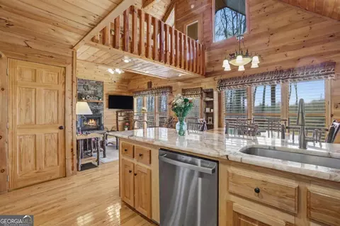 494 Lower Prince Mountain Rd, Cherry Log, GA 30522 photo 5