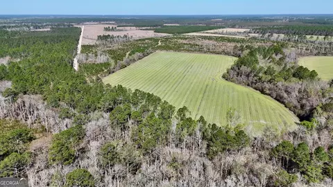 Tract 6 Ingram Road, Odum, GA 31555
