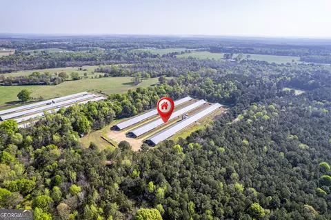 125 Walker Gresham Rd, Stephens, GA 30667 photo 11