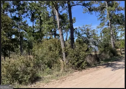 24 E West Autobahn Rd, Sapelo Island, GA 31327