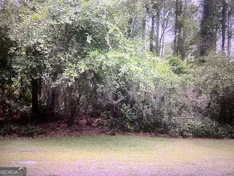 0 Tacatacoru Ct, Saint Marys, GA 31558