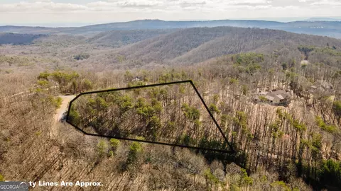 0 Shivas Crst, Rising Fawn, GA 30738