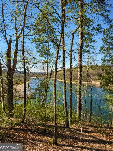 333 Laurel Mountain Dr, Toccoa, GA 30577 photo 14
