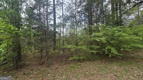 0 Cherry Rd, Franklin, GA 30217 photo 9