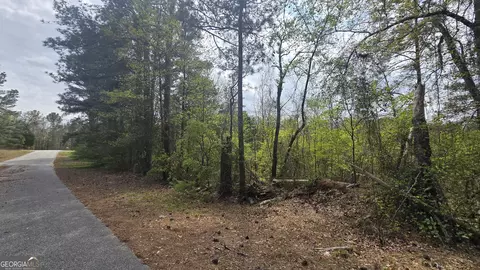 0 Cherry Rd, Franklin, GA 30217 photo 10