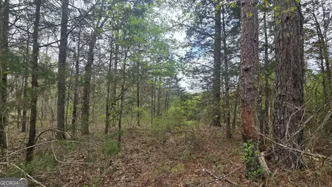 0 Cherry Rd, Franklin, GA 30217 photo 7