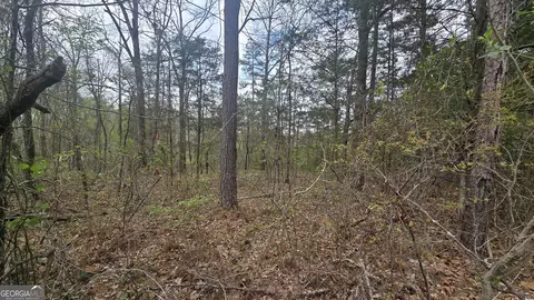 0 Cherry Rd, Franklin, GA 30217 photo 8