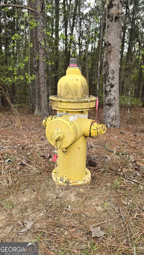 0 Cherry Rd, Franklin, GA 30217 photo 5