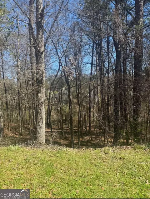 3740 Mountain Cove Rd, Snellville, GA 30039