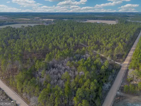 5 Reddish Road, Odum, GA 31555