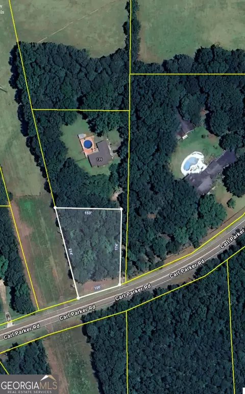 0 Freeman Rd, Hampton, GA 30228 photo 6