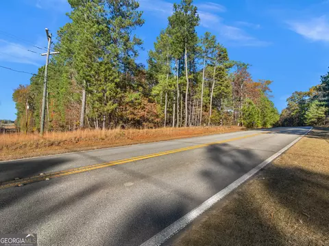 0 Freeman Rd, Hampton, GA 30228 photo 4