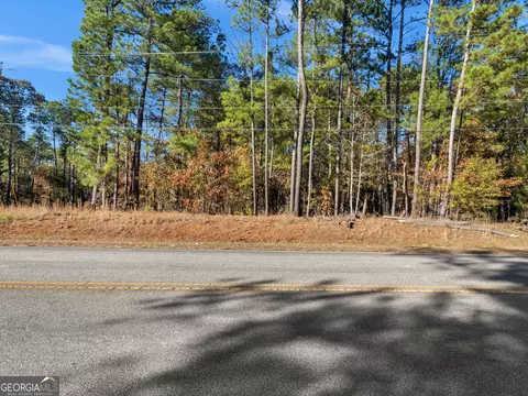 0 Freeman Rd, Hampton, GA 30228 photo 5