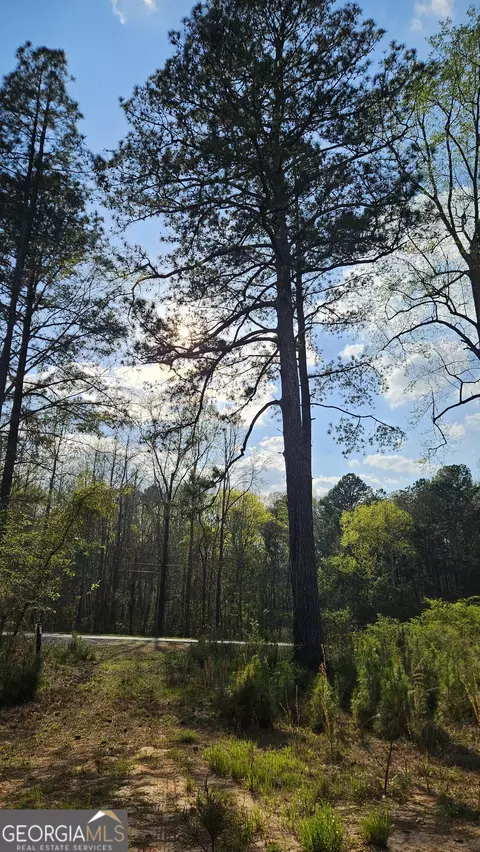 0 Hwy 15, Greensboro, GA 30642