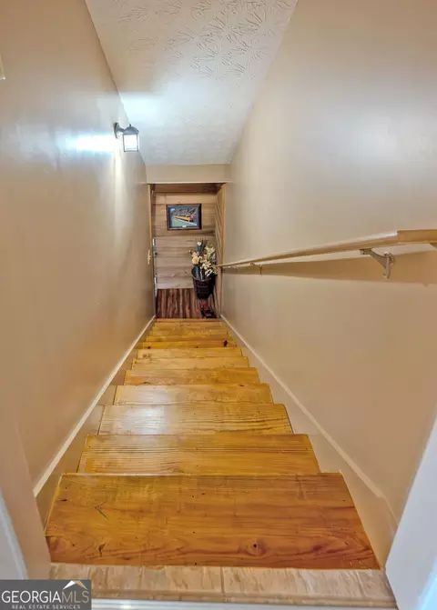 Entry Way - 1363 Mcfarlin Bridge Rd, Carnesville, GA 30521 photo 4 of 6