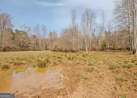 Other - 1363 Mcfarlin Bridge Rd, Carnesville, GA 30521 photo 21 of 34