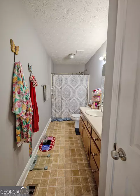 Bath - 1363 Mcfarlin Bridge Rd, Carnesville, GA 30521 photo 10 of 10
