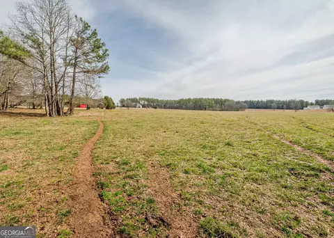 Other - 1363 Mcfarlin Bridge Rd, Carnesville, GA 30521 photo 19 of 34