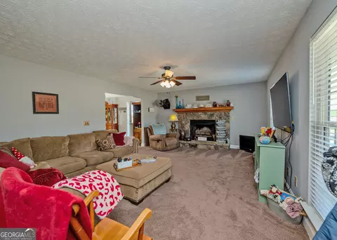 Other - 1363 Mcfarlin Bridge Rd, Carnesville, GA 30521 photo 16 of 34