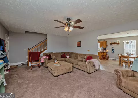 Living - 1363 Mcfarlin Bridge Rd, Carnesville, GA 30521 photo 1 of 1