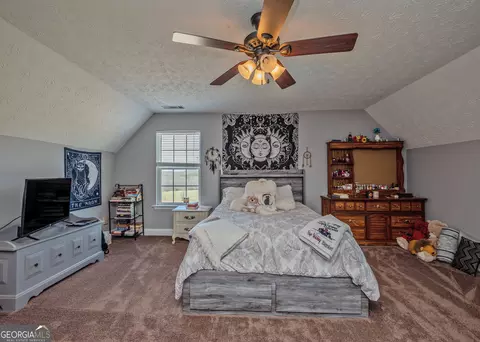 Bedroom - 1363 Mcfarlin Bridge Rd, Carnesville, GA 30521 photo 2 of 4