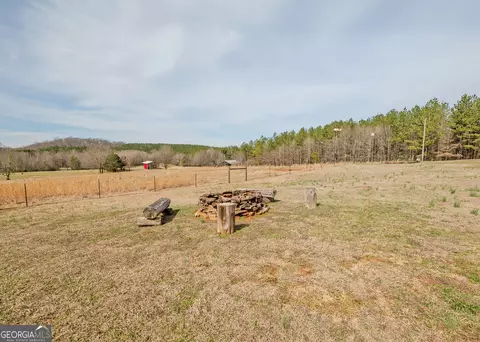 Exterior - 1363 Mcfarlin Bridge Rd, Carnesville, GA 30521 photo 4 of 8