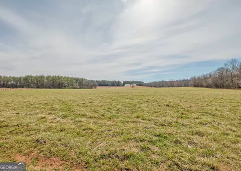 Other - 1363 Mcfarlin Bridge Rd, Carnesville, GA 30521 photo 18 of 34