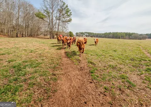 Other - 1363 Mcfarlin Bridge Rd, Carnesville, GA 30521 photo 24 of 34