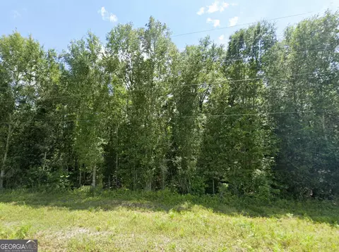 0 Mann Rd, Arabi, GA 31712 photo 2