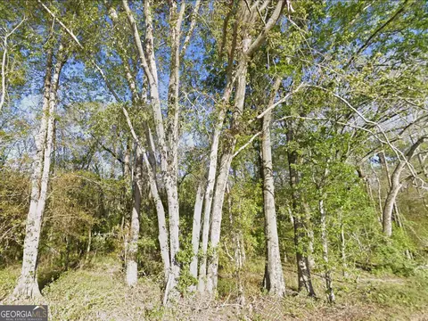 0 Mann Rd, Arabi, GA 31712 photo 6