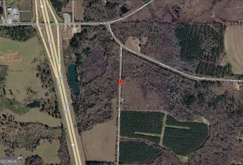 0 Mann Rd, Arabi, GA 31712 photo 10