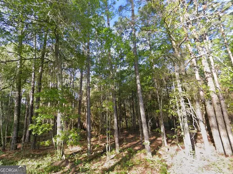 0 Mann Rd, Arabi, GA 31712 photo 4