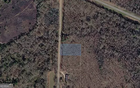 0 Mann Rd, Arabi, GA 31712 photo 7