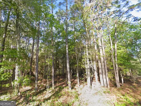 0 Mann Rd, Arabi, GA 31712 photo 5