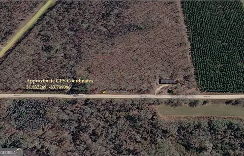 0 Mann Rd, Arabi, GA 31712 photo 9