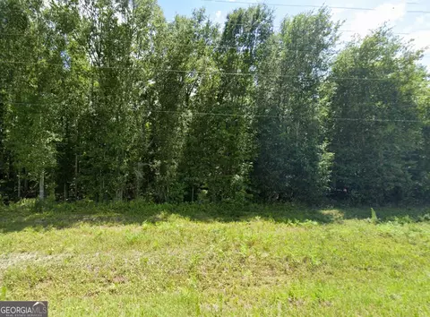0 Mann Rd, Arabi, GA 31712 photo 3