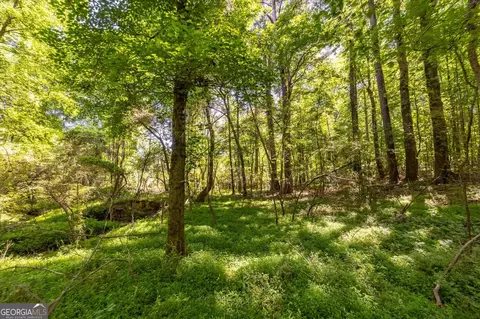 0 Gene Bell Rd, Monroe, GA 30655 photo 8
