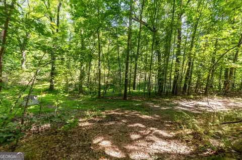 0 Gene Bell Rd, Monroe, GA 30655 photo 5