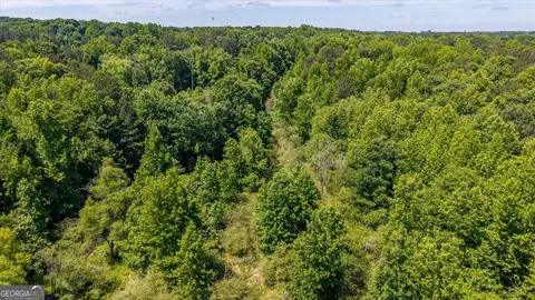 0 Gene Bell Rd, Monroe, GA 30655 photo 13