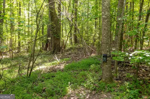 0 Gene Bell Rd, Monroe, GA 30655 photo 6