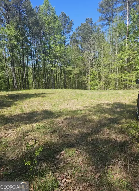 1041 Pintail Ln, Madison, GA 30650