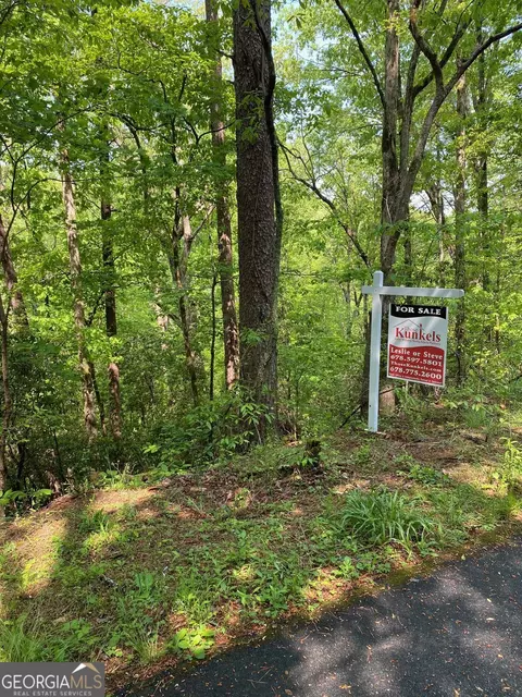 31 Valhalla Dr, Cleveland, GA 30528