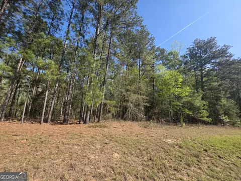 Tract A Ga Highway 102, Mitchell, GA 30820